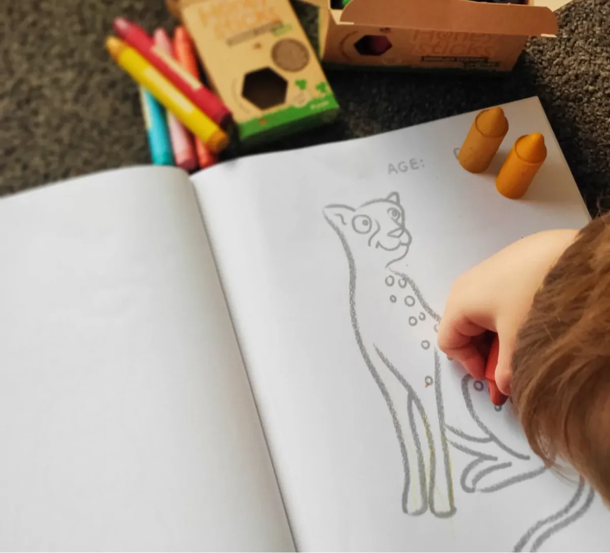 Honey Sticks Toddlers First Colouring Book