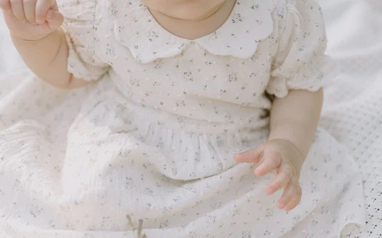 Aster and Oak Sofia Floral Collared Dress