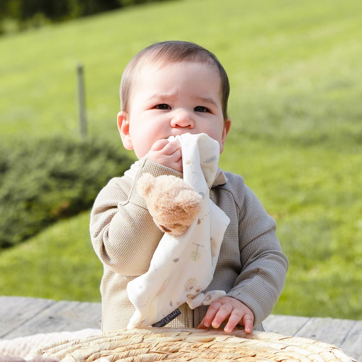 Little Linen Comforter Nectar Bear