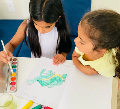 Honey Sticks Toddlers First Colouring Book