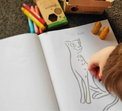 Honey Sticks Toddlers First Colouring Book