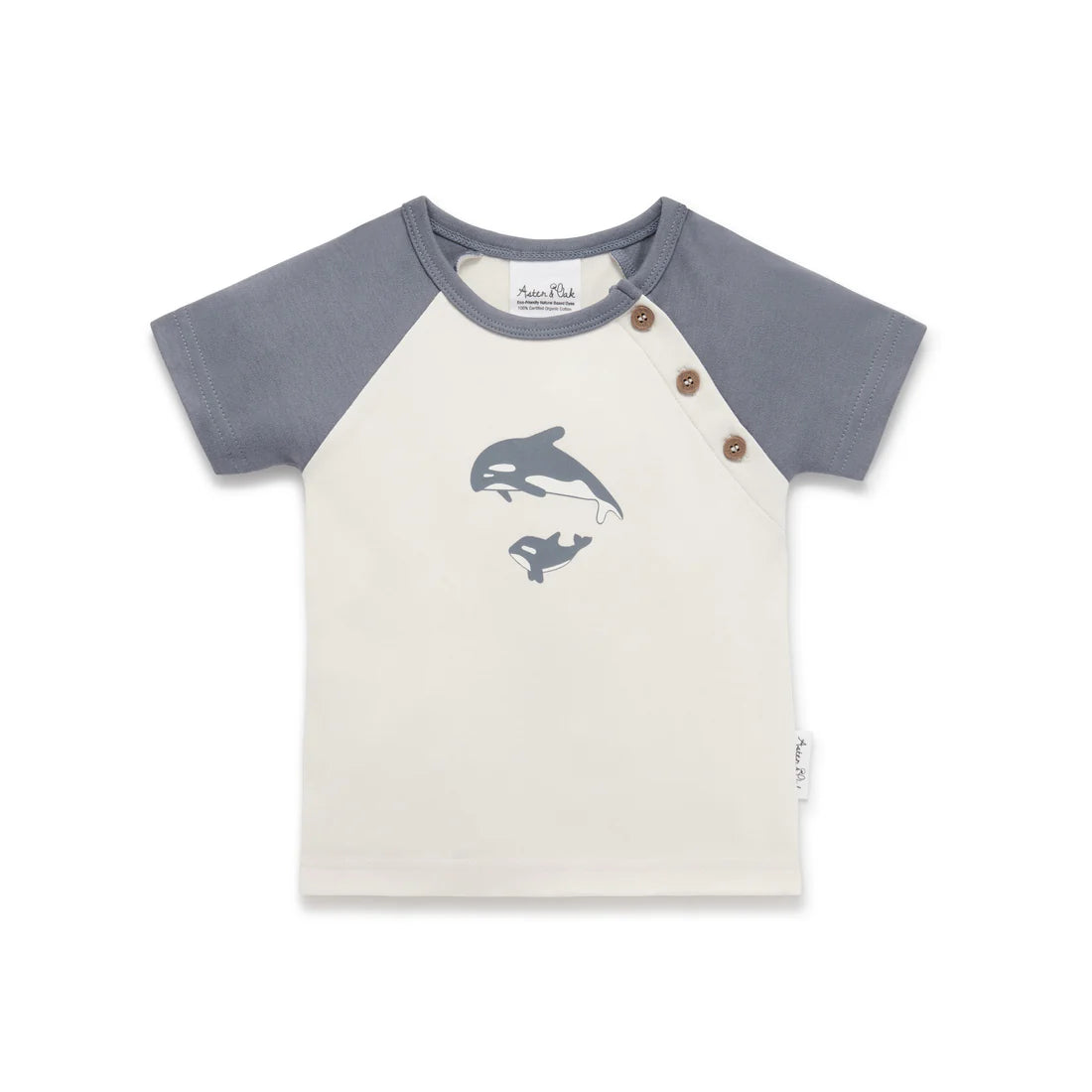Aster and Oak Orca Raglan Tee