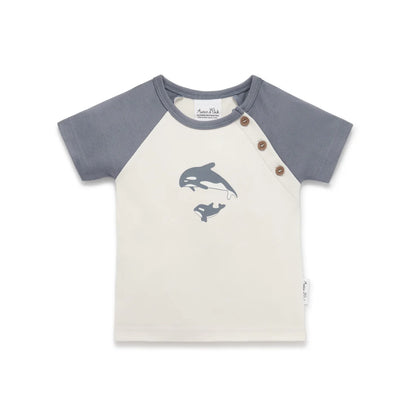 Aster and Oak Orca Raglan Tee