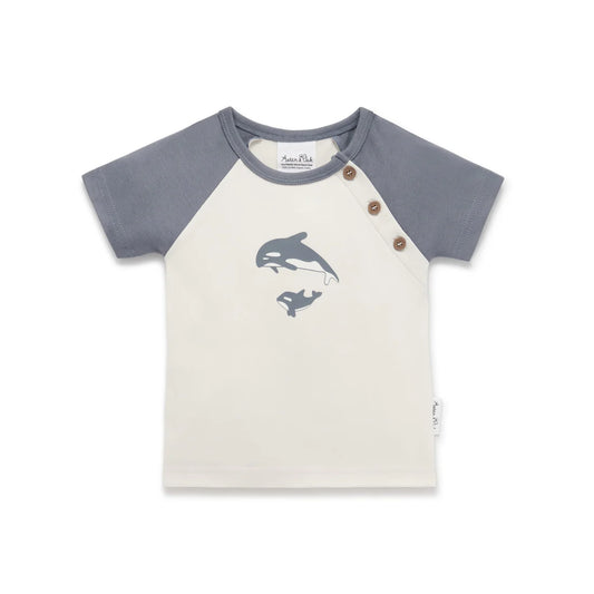 Aster and Oak Orca Raglan Tee