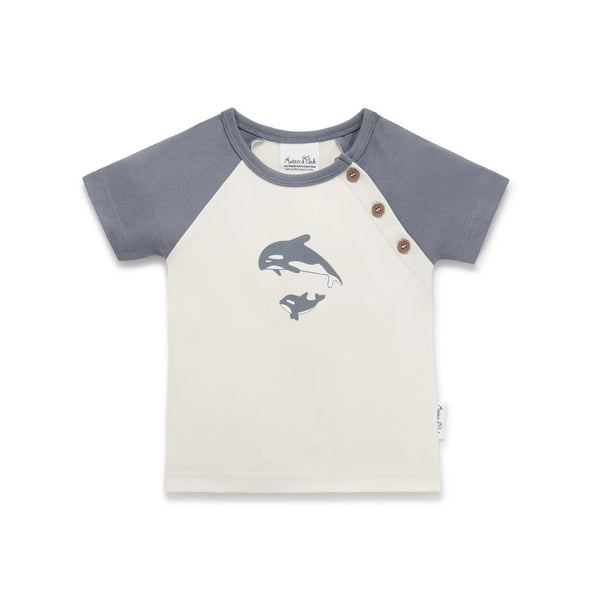 Aster and Oak Orca Raglan Tee