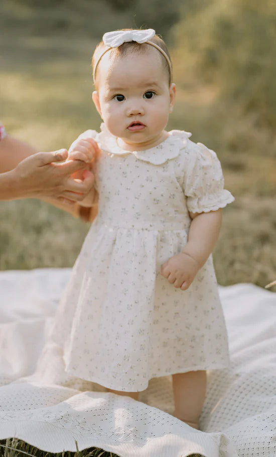 Aster and Oak Sofia Floral Collared Dress
