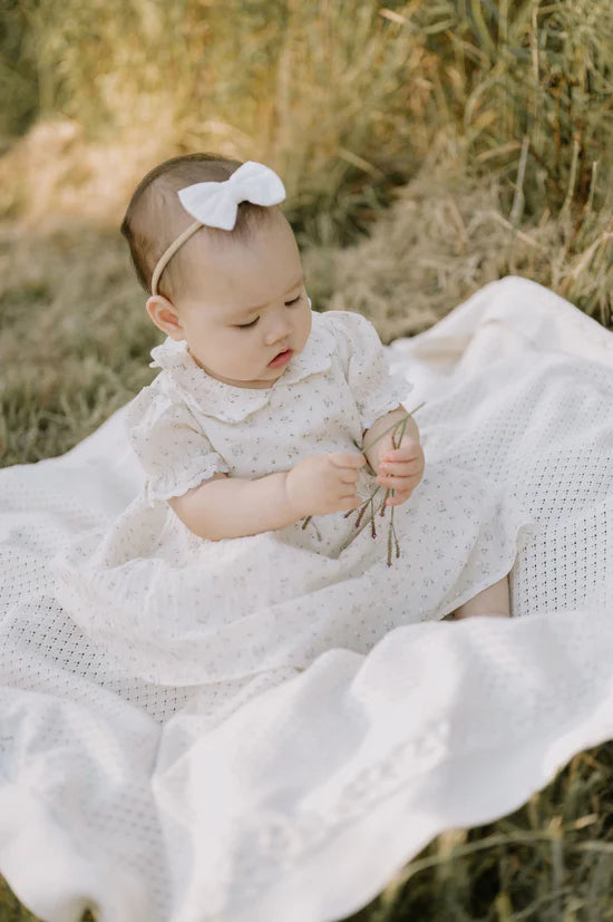 Aster and Oak Sofia Floral Collared Dress