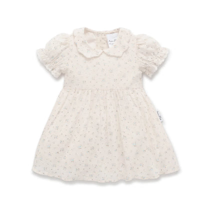 Aster and Oak Sofia Floral Collared Dress